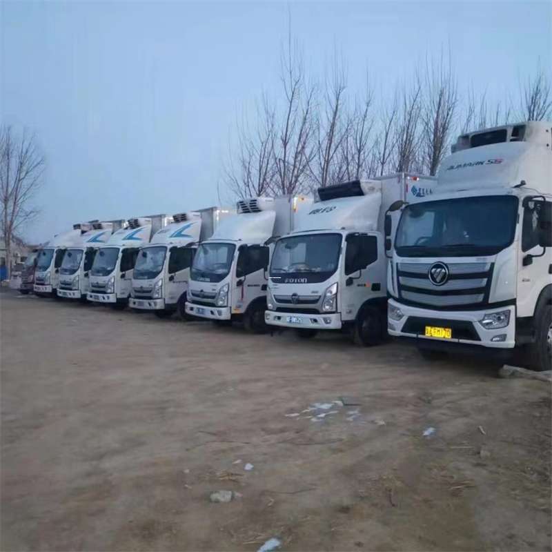 爱民区涟水县物流：多元运输服务与线路探索