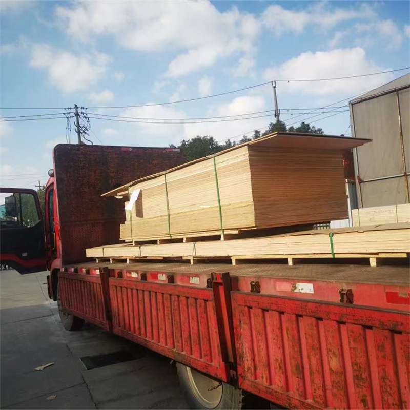 爱民区通化市物流运输：多元服务与高效线路探秘