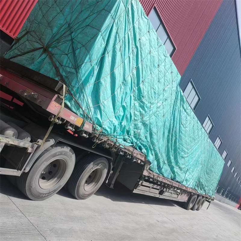 爱民区正定县物流：多元运输服务的精彩画卷