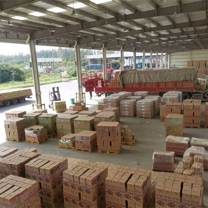 爱民区崇信县：物流专线的多元运输服务之旅