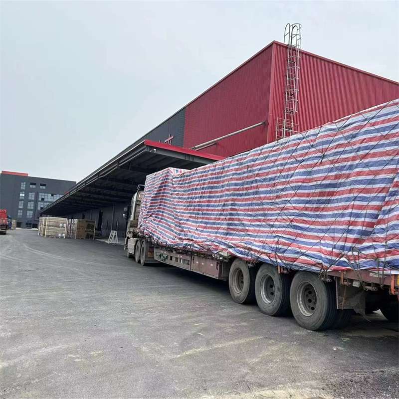 爱民区渝中区物流：多元服务与运输线路探秘