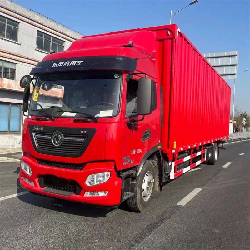 爱民区加查县物流：专线运输的多元服务之旅