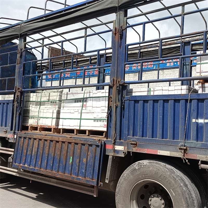 爱民区隆子县进仓物流：专线直达的多元货运探索