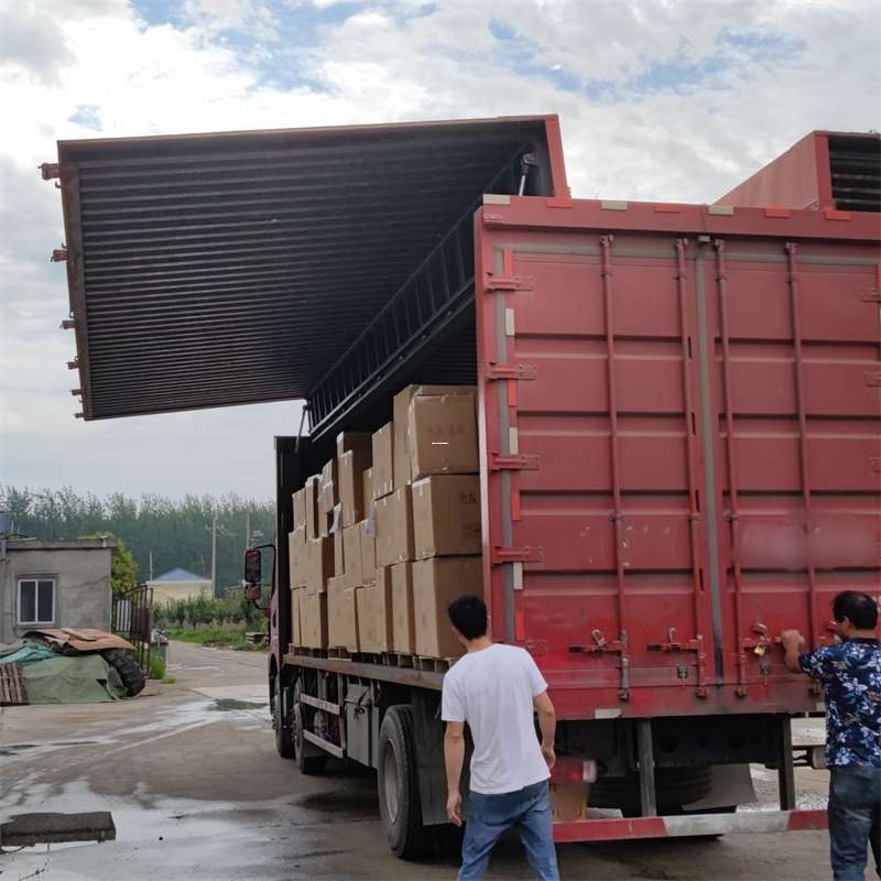 爱民区扎囊县：物流专线的高效货运之旅