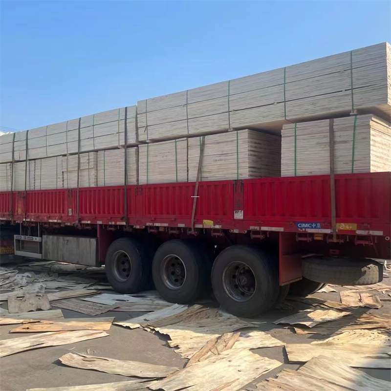 爱民区探寻会东县进仓物流的多元运输奥秘